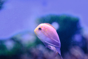 Similar image 20120300