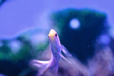 Similar image 20120308