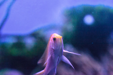 Similar image 20120279