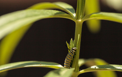 Similar image 20120512