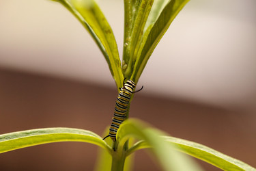 Similar image 20120518