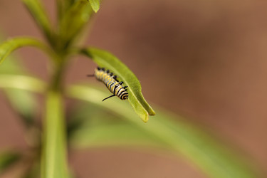 Similar image 20120551