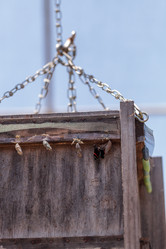 Similar image 20120564