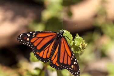 Similar image 20120621