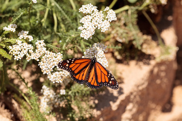 Similar image 20120629