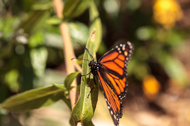 Similar image 20120637