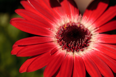 Similar image 20120344