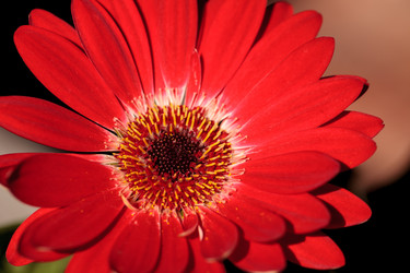 Similar image 20120360