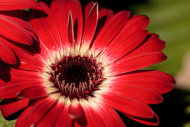 Similar image 20120365