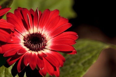 Similar image 20120387