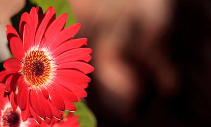 Similar image 20120537