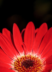 Similar image 20120549