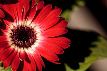 Similar image 20120586