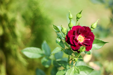 Similar image 20059270