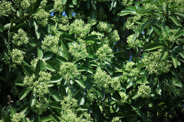 Similar image 20059295