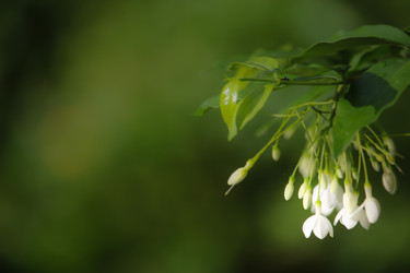 Similar image 20059301