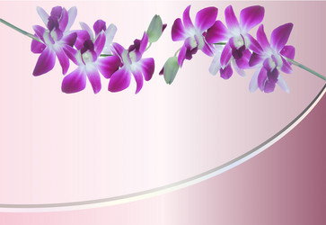 Similar image 20059304