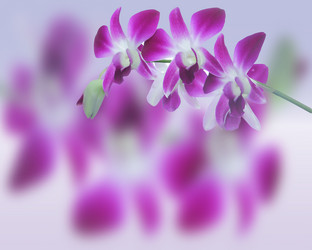 Similar image 20059305