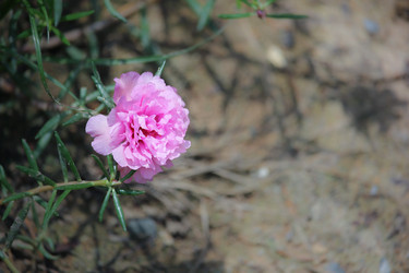 Similar image 20059306