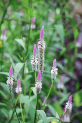 Similar image 20059308