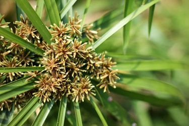 Similar image 20059322