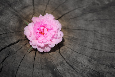 Similar image 20059324