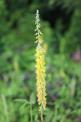 Similar image 20059326