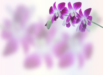 Similar image 20059328