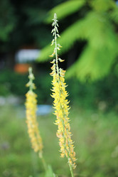 Similar image 20059310