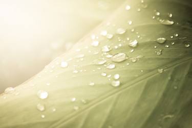 Similar image 20059314