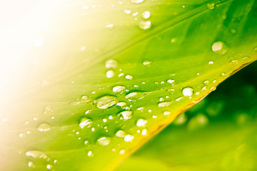 Similar image 20059317