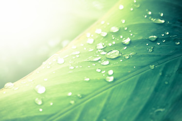 Similar image 20059318