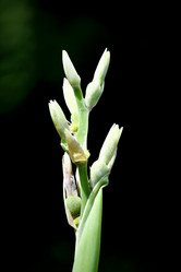 Similar image 20059319