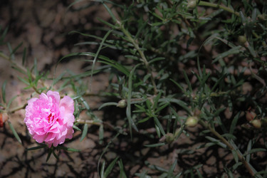 Similar image 20059320