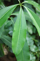 Similar image 20059323