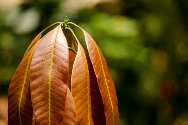 Similar image 20059245