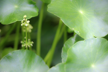 Similar image 20059273