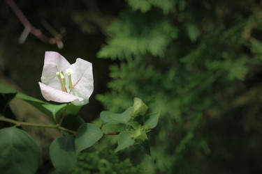 Similar image 20059275