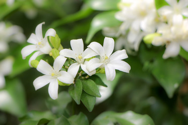 Similar image 20059276