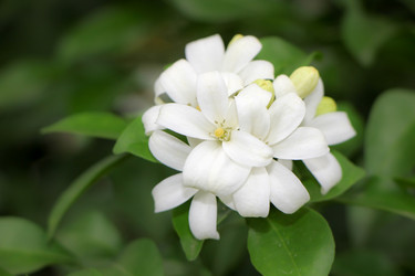 Similar image 20059277