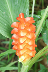 Similar image 20059278