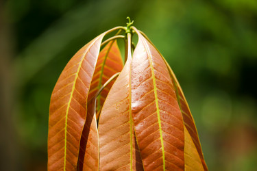 Similar image 20059280