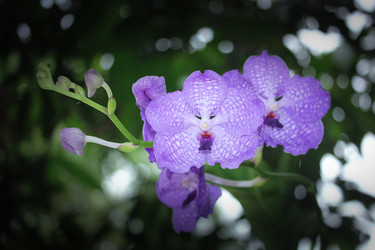 Similar image 20059281