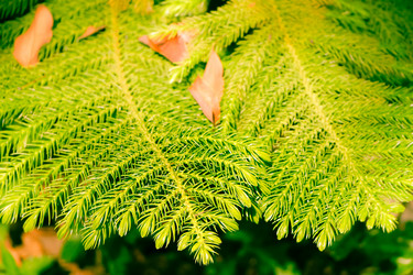 Similar image 20059284