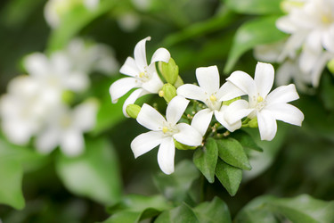 Similar image 20059285