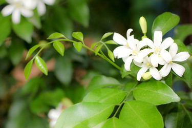 Similar image 20059290