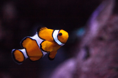 Similar image 20117687