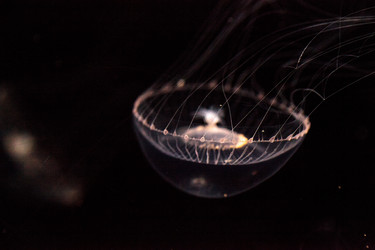 Similar image 20117711