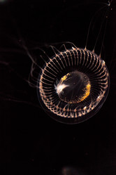 Similar image 20117714