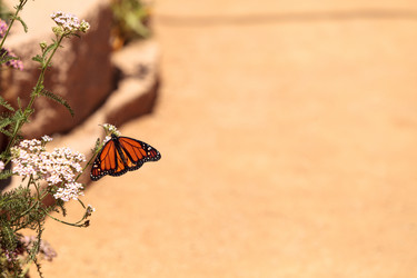 Similar image 20117760